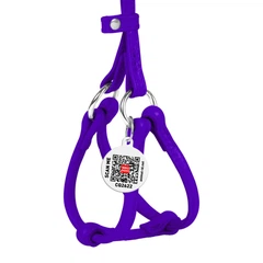 Collar Шлея з повідцем для собак шкіряний WAUDOG з QR паспортом, круглий, Д 6 мм, А 26-46 см, 30-50 см фіолетовий