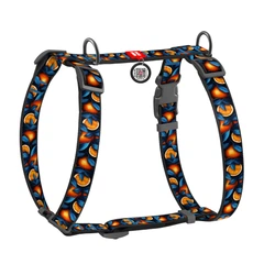 Шлея анатомічна з QR адресником WAUDOG Nylon малюнок "Апельсин" L (4823089376912)