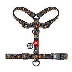 Шлея анатомічна з QR адресником WAUDOG Nylon малюнок "Апельсин" L (4823089376912)