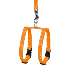 Collar Шлея Dog Extreme з нейлону регульована з повідцем для морських свинок, декоративних щурів, помаранчева (07014)