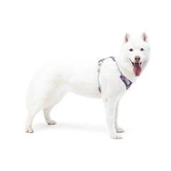 Шлея для собак Alpha 360 Woolly Wolf Mauve Mix L
