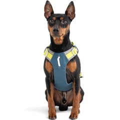 Шлея для собак Alpha 360 Woolly Wolf Harness Deep Teal Mix XS