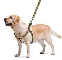 Шлея для собак WAUDOG Nylon з QR-паспортом M малюнок "Мілітарі" (331-4026Collar)