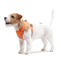 Шлея м'яка Collar Airy Vest One для собак малих порід (помаранчева) XS1
