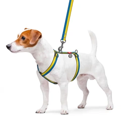Шлея для собак Collar WAUDOG Nylon анатомічний з QR паспортом, малюнок "Colors of freedom" L (5160-4020Collar)