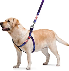 Шлея для собак WAUDOG нейлонова Nylon з QR-паспортом Малюнок "NASA21" M (4801-0148Collar)