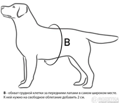 Шлея Collar DogExtreme Police N1 зі змінним написом 35-45 см Червона (07043)