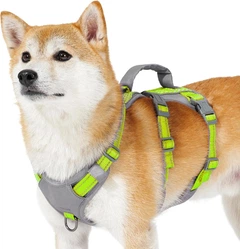 Світловідбиваюча шлейка для собак Huntboo