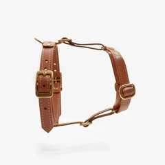 Шлея для собак CHOUCHOU Classy XS - рудий