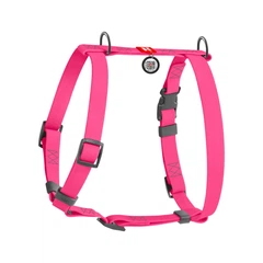 Шлея для собак анатомічна Waudog Waterproof з QR-паспортом М 20 х 40-66 см (26622501)