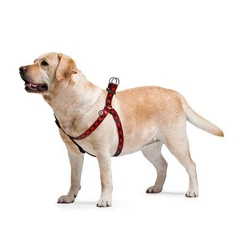 Шлейка для собак нейлонова Waudog Collar Nylon з QR паспортом розмір М малюнок Шотландка Червона