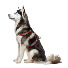 Collar Шлея для собак анатомічна Н-подібна WAUDOG Nylon з QR-паспортом, малюнок "Вітраж", пластиковий фастекс, XL, Ш 35 мм, А 55-95 см, В