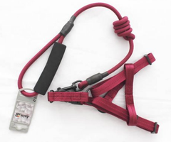 Шлея з повідцем для собак Red 10х1200х20 мм AnimAll HJ-Y304-LH