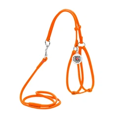 Collar Шлея з повідцем для собак шкіряний WAUDOG з QR паспортом, круглий, Д 6 мм, А 42-60 см, 46-64 см помаранчевий