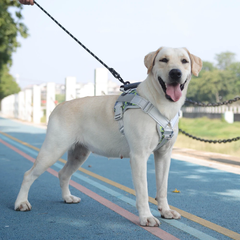 Derby Нагрудна шлея для собак Reflective safety chest harness for pet dogs, S Рожевий