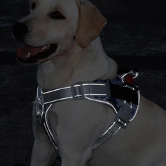 Derby Нагрудна шлея для собак Reflective safety chest harness for pet dogs, S Рожевий