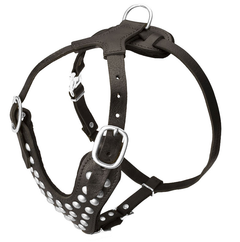 Шлейка прогулянкова із заклепками LeathART L(45-55 см) (zoo0005367)