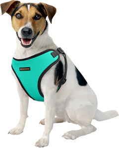 Шлея для собак Sport Vest TM BronzeDog Mesh S бірюзова (обхват шиї 24см обхват грудної клітини 35-38см)