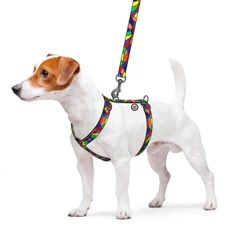 Collar Шлея для собак анатомічна Н-подібна WAUDOG Nylon з QR-паспортом, малюнок "Вітраж", пластиковий фастекс,L, Ш 25 мм, А 50-90, В