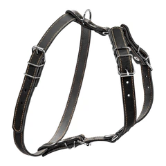 Шлея "CoLLaR" одинарна для малих та середніх собак (ширина 20мм, А:40-56см, В:57-65см) чорний