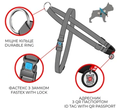 Нейлонова шлея з ручкою для собак WAUDOG Nylon з QR паспортом, з малюнком "Літо", розмір M (5437)