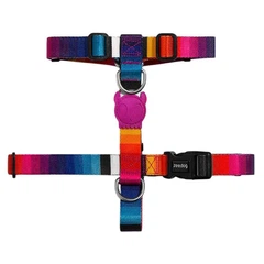 Zee.Dog H-Harness Prisma - Шлея з кольоровим принтом для собак M / 31-49,8х42-68,8 см (7898582476084)