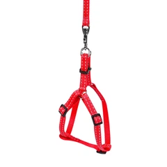 DOGextreme Шлея "Dog Extreme" з нейлону регульована з повідцем (ширина 14мм, В:40-55см) червоний 07033