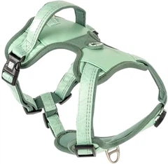 Шлея для собак Max & Molly Urban Pets Sport Harness - Matrix 2.0 Jade/XL (4255636810639)