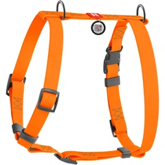 Шлея для собак водостійка анатомічна Н-подібна WAUDOG Waterproof з QR паспортом, пластикова пряжка-фастекс, помаранчева, розмір M