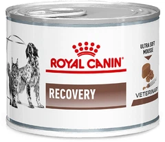 Royal Canin Корм для дорослих котів