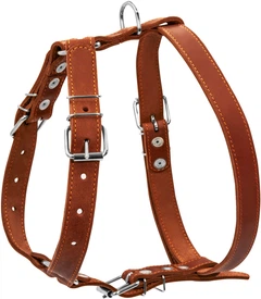 Шлейка Collar одинарна (ширина 25 мм, А: 49-68 см, В: 68-80 см) Коричнева (06386Collar)