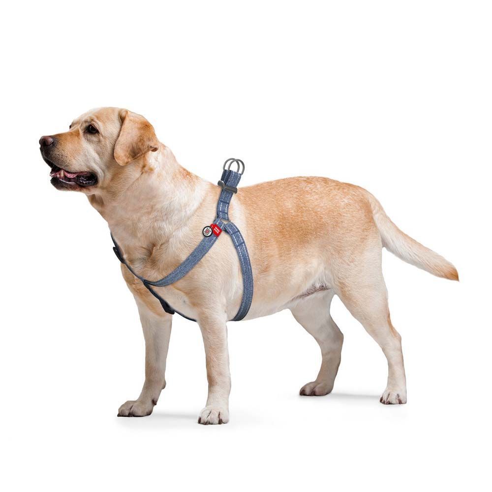 Шлея-петля світловідбивна Collar WAUDOG Re-cotton з QR-паспортом L, 60-90 см / 25 мм (синя)