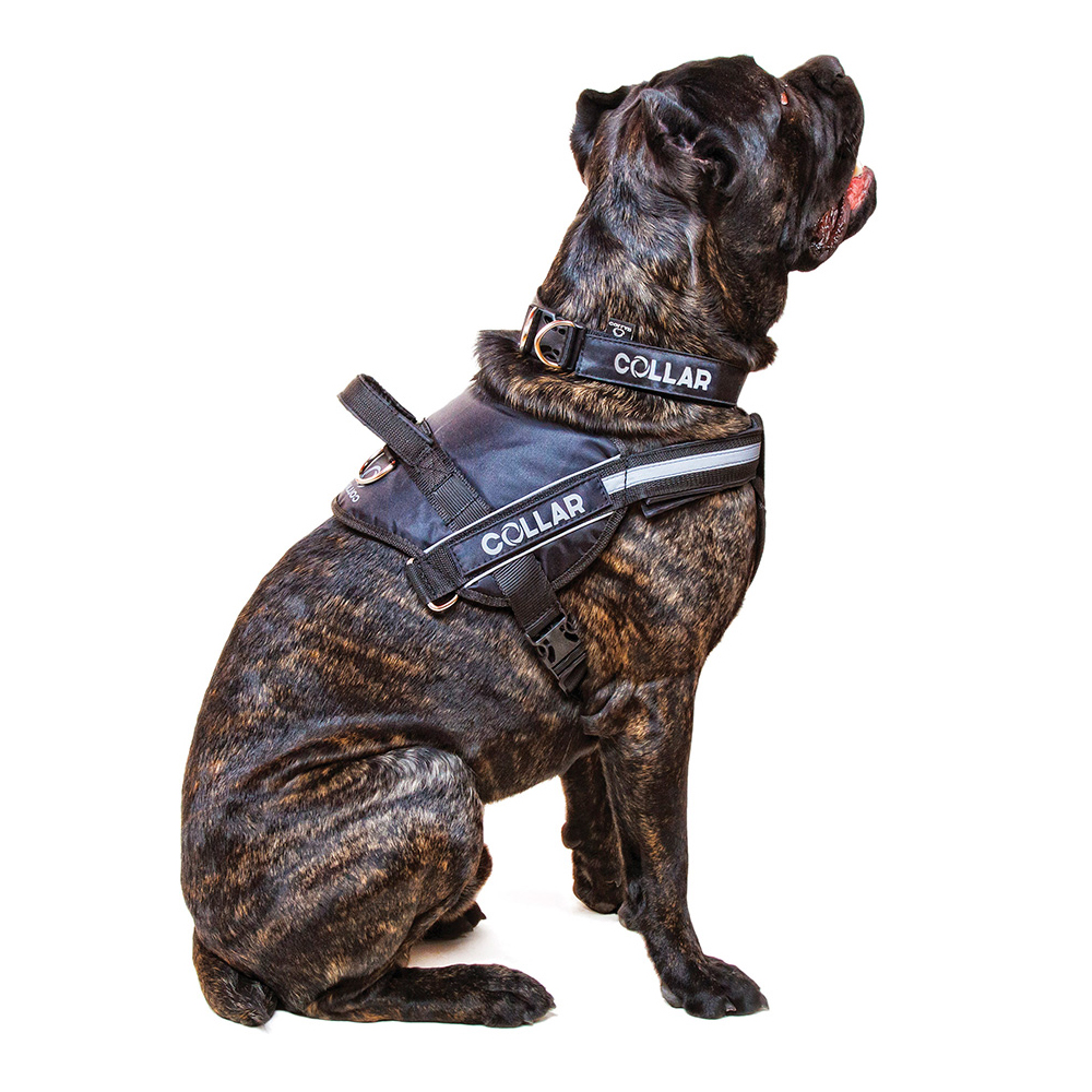 Шлея Collar нейлонова «DogExtreme Police» №1, 35-45 см (червона, чорна)