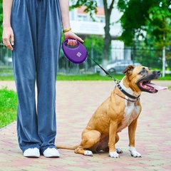 Повідець-рулетка для собак WAUDOG R-leash з контейнером для пакетів, світловідбивна стрічка, фіолетовий, розмір M, до 20 кг, 5 м (26289)