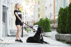 Повідець Collar Evolutor для собак середніх і великих порід 300 см 25 мм Чорний (42131)
