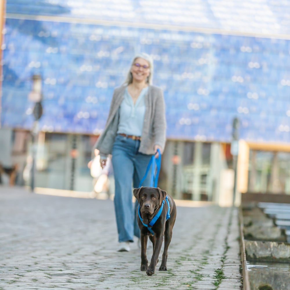 Шлея для собак Trixie Premium H-harness XXS–XS - синій