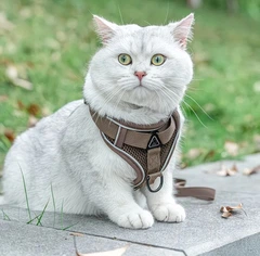 Без бренду Шлейка для котів з повідцем Pet Style S - Brown