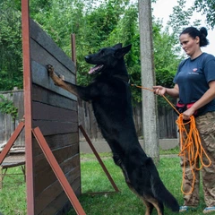Повідець для Собак Bronzedog Active з Шнура Тренувальний Помаранчевий 7 мм 1000 см (47354)