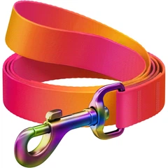 Повідець для собак WAUDOG Nylon Recycled, градієнт, помаранчевий, 122 см 15 мм (46624)