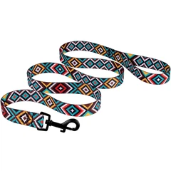 Повідець Для Собак Bronzedog Urban Tribal Нейлоновий Ментоловий 16 мм 152 см (60/1373)
