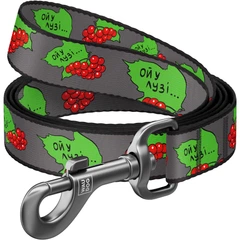 Повідець для собак нейлоновий WAUDOG Nylon, малюнок "Калина" 122 см 25 мм (4925-0228)