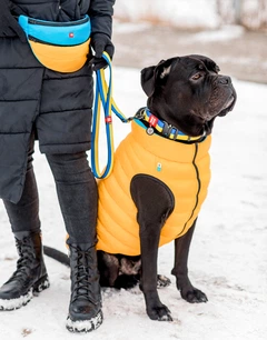 Повідець для собак нейлоновий WAUDOG Nylon "Colors of freedom" M 20 мм х 122 см (4920-4020Collar)