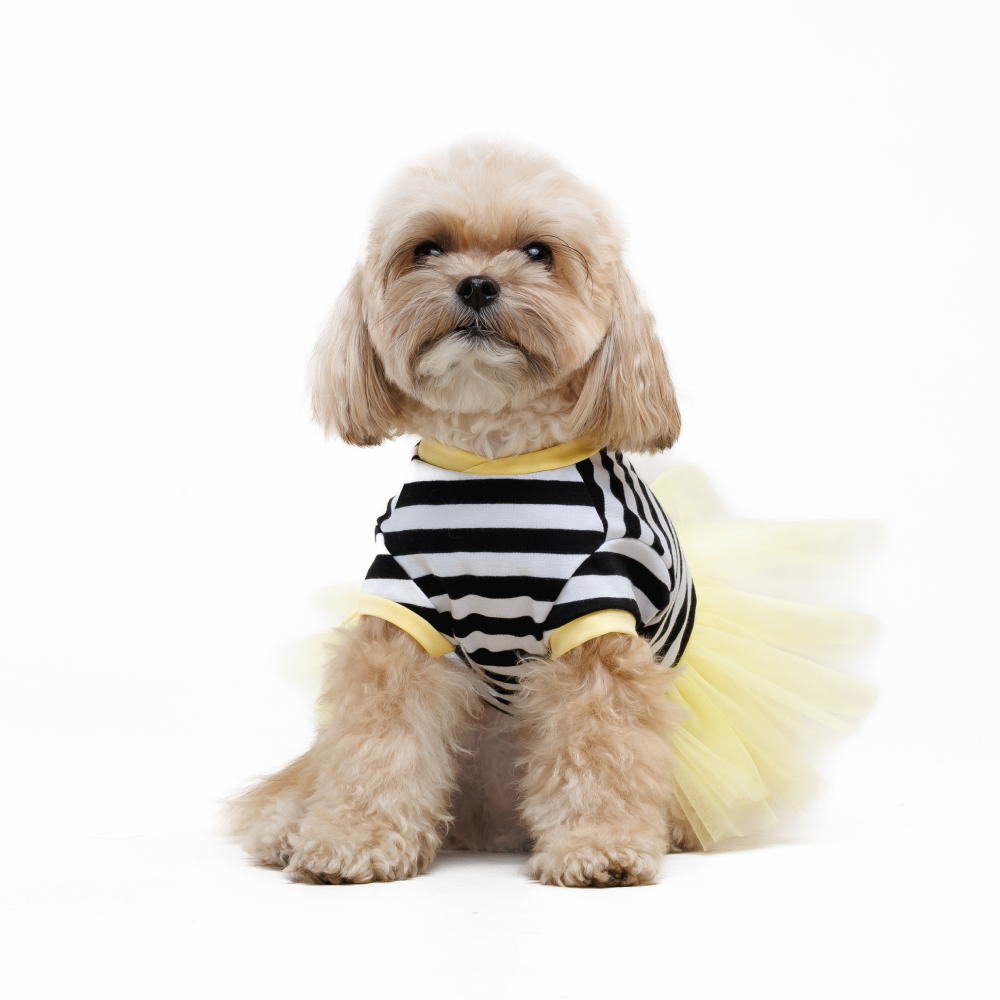 Сукня для собак Pet Fashion Liana XXS - жовтий