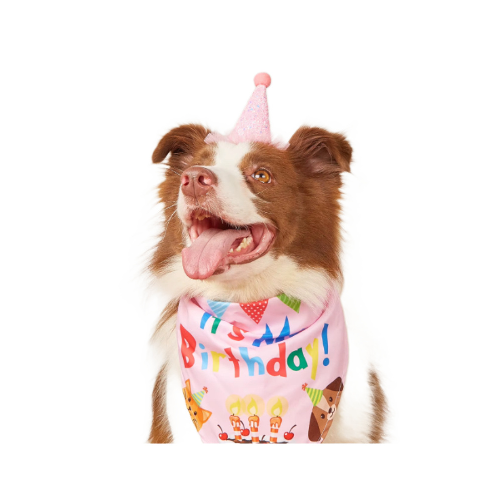 Pet Fun MasterZoo святковий ковпак для собак 11х9 см - модель в асортименті