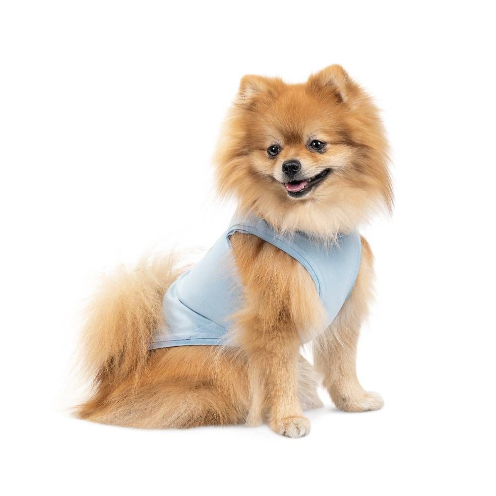 Pet Fashion Adam майка для собак XS