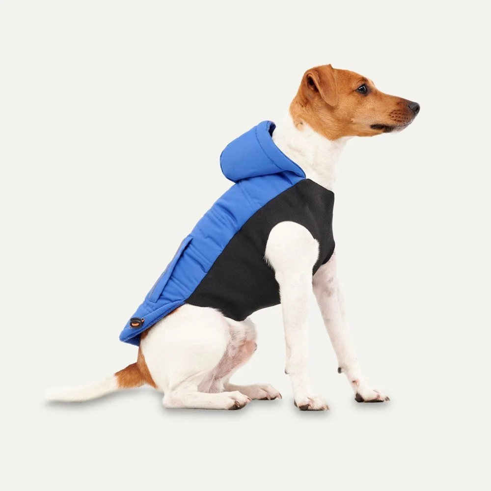 Goo eez Куртка для собак Goo-eez Hooded Signature 2XS – синій