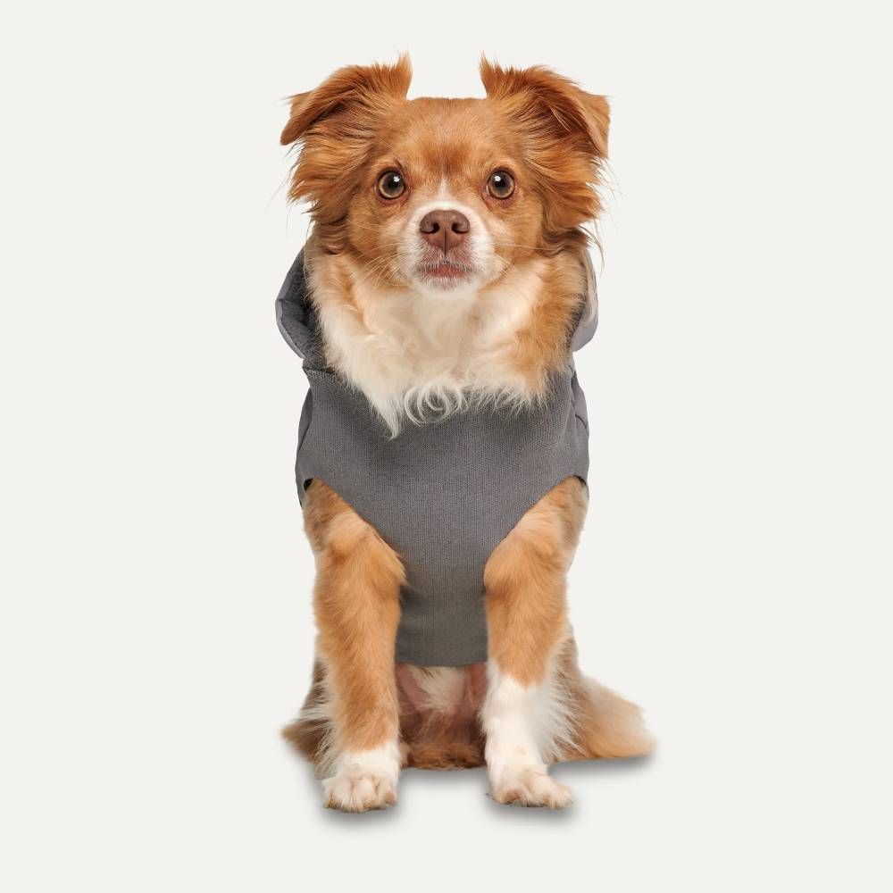 Goo eez Костюм для собак Goo-eez Hooded Full Body XS