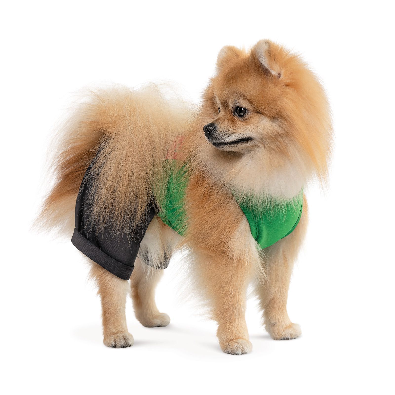 Pet Fashion Aleks костюм для собак XS