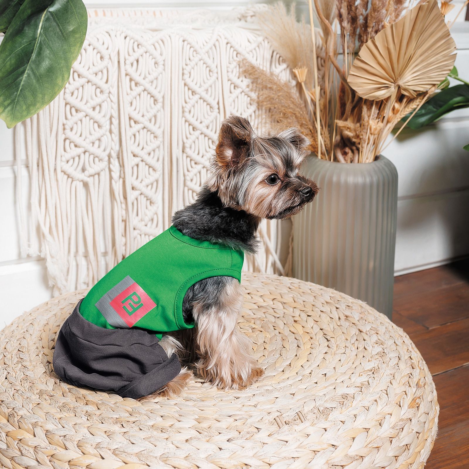 Pet Fashion Aleks костюм для собак XS