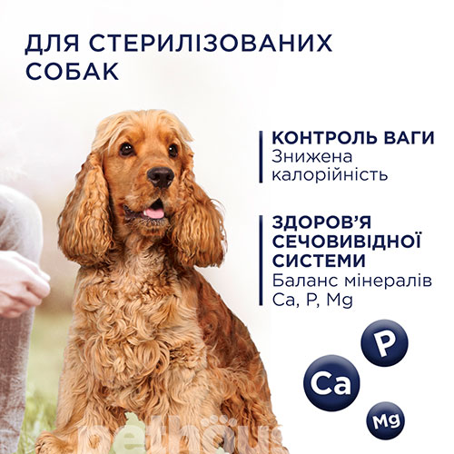 Club 4 Paws Корм з індичкою для дорослих собак великих порід